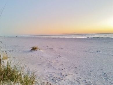 Anna Maria Island Holmes Beach Condo 895888